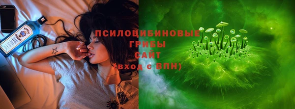 стаф Арсеньев