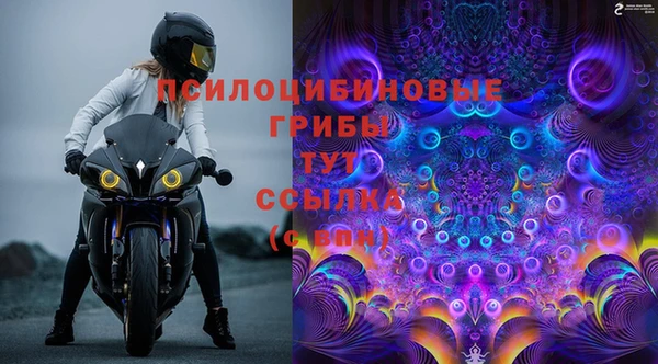 стаф Арсеньев