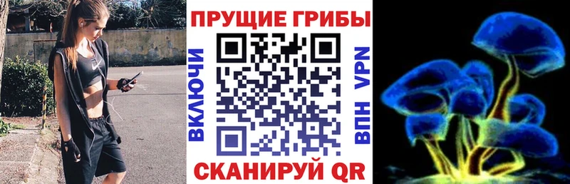Галлюциногенные грибы Magic Shrooms Уяр